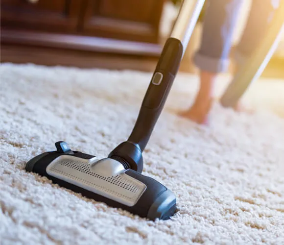 Carpet care | My Floor Hub